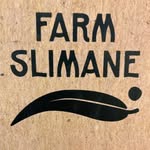 387677782_201810589595067_20483585427426779_n